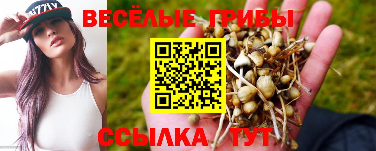 Галлюциногенные грибы Psilocybe  Галлюциногенные грибы ЛСД  Кропоткин  Вход с VPN 